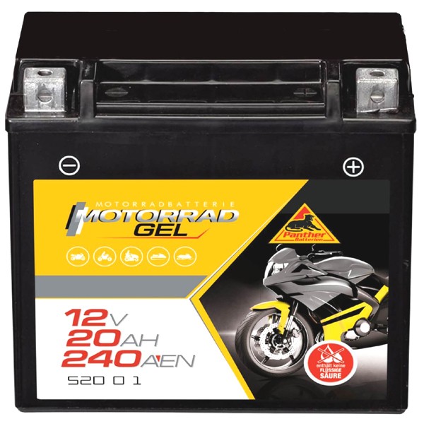 Harley Davidson 1450 EFI Softail Deluxe Batterie